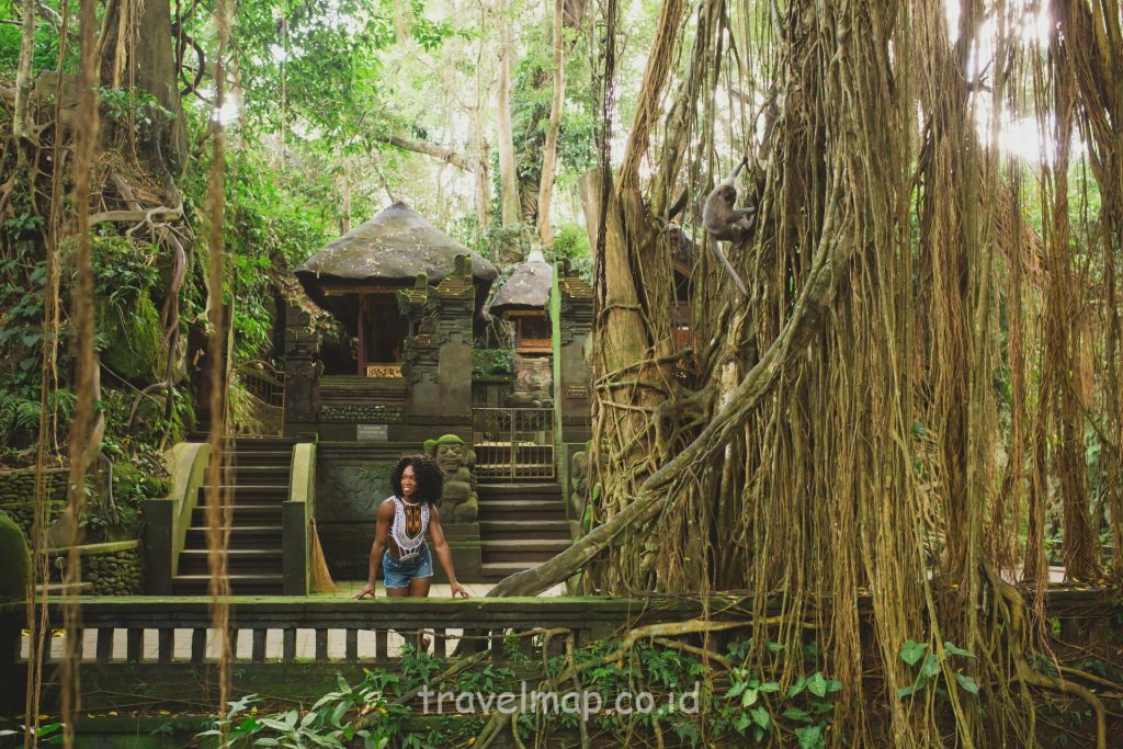 Wisata Monkey Forest Ubud Bali